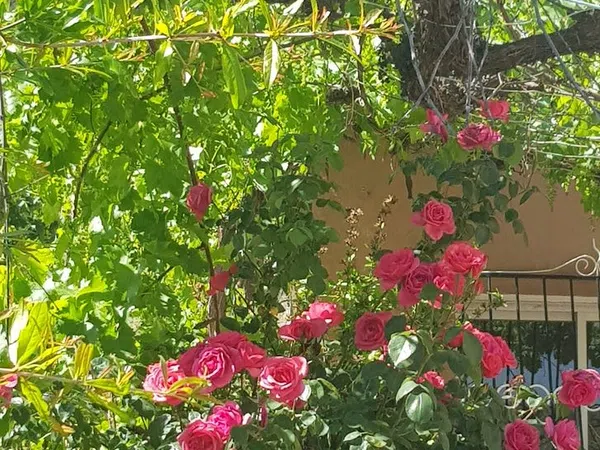 Casa rural en Barriada de Los Raspajos., 1 - Foto 16