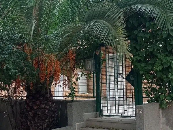 Casa o chalet independiente en Avenida de los Pinos, 12 ,, Santa María de Gracia - Foto 2