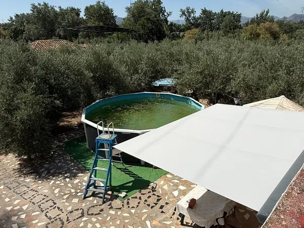 Casa o chalet independiente en Puente Tablas s/n - Foto 16