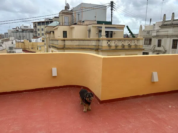 Ático en Calle de la Barcelonina, 3, Sant Francesc - Foto 5