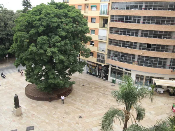 Piso en Calle Don Juan de Málaga, Centro Histórico - Foto 11