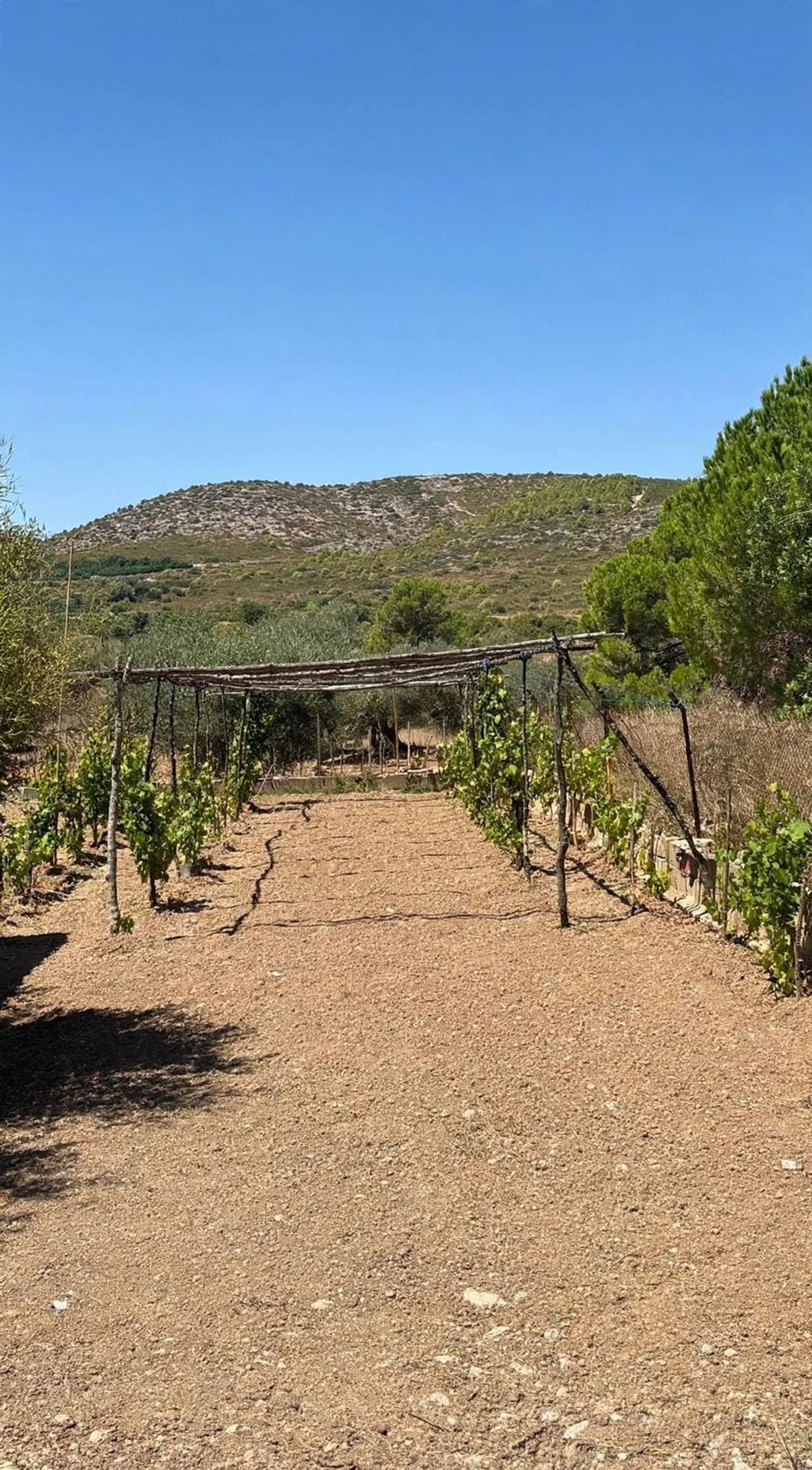 Finca rústica en Bovalar, 442, Zona Papa Luna, Zona Papa Luna - Foto 17