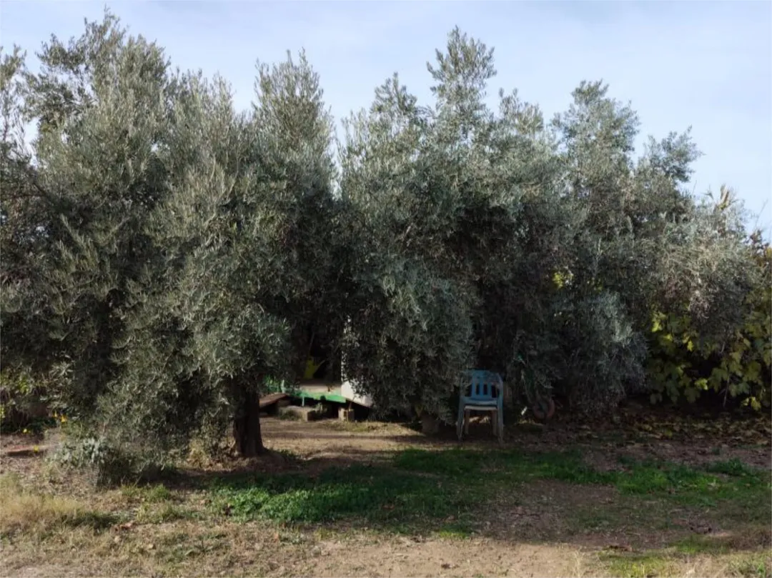 Chalet en  Camino de Cascajales 23 - Foto 23