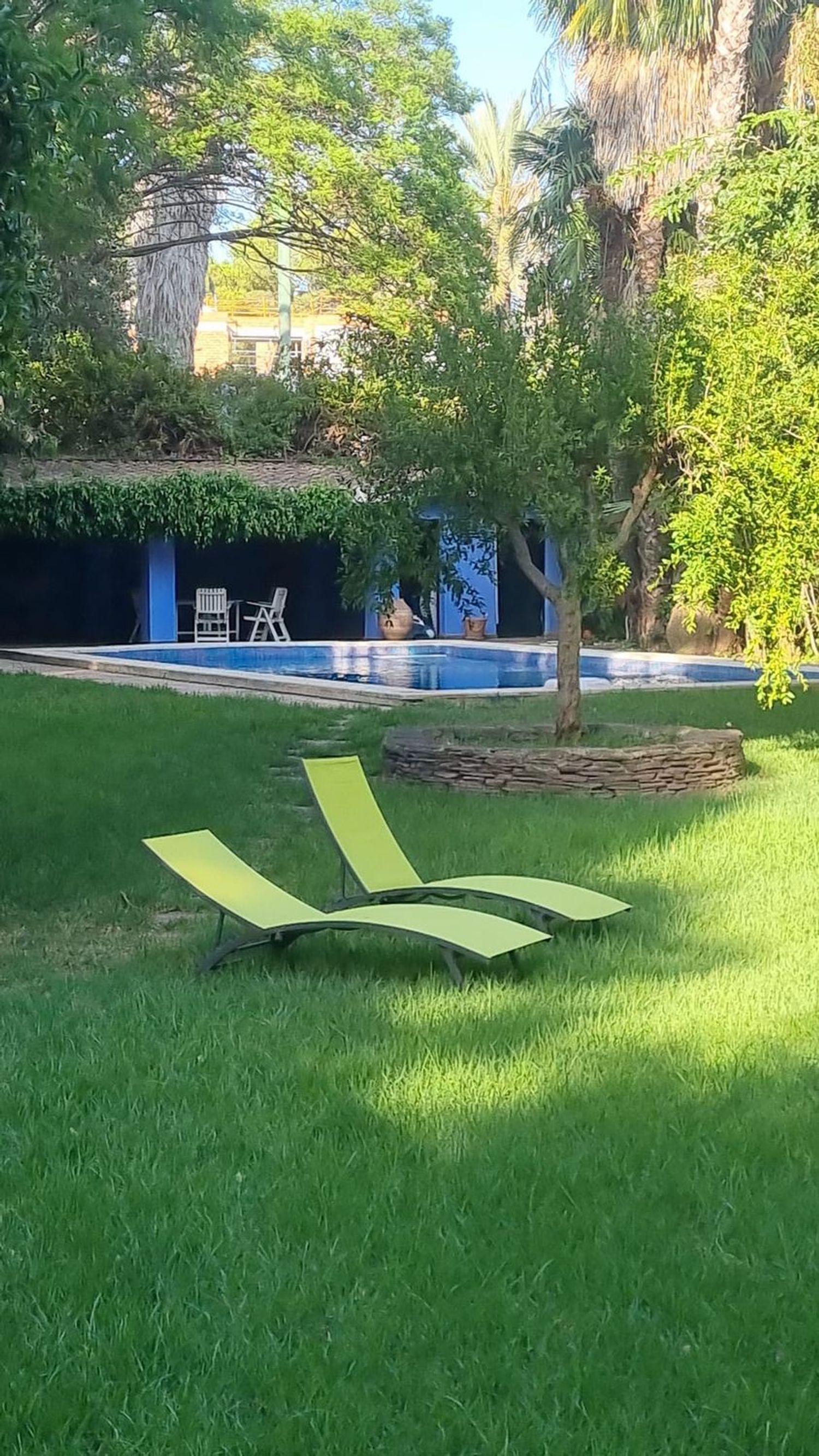 Casa o chalet independiente en Avenida Ametllers, 20, Campolivar, Campolivar - Foto 11