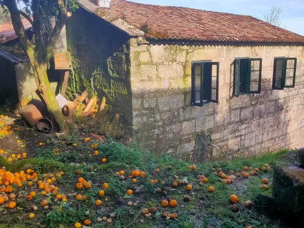 Casa o chalet independiente en Vilar, 61 - Foto 2