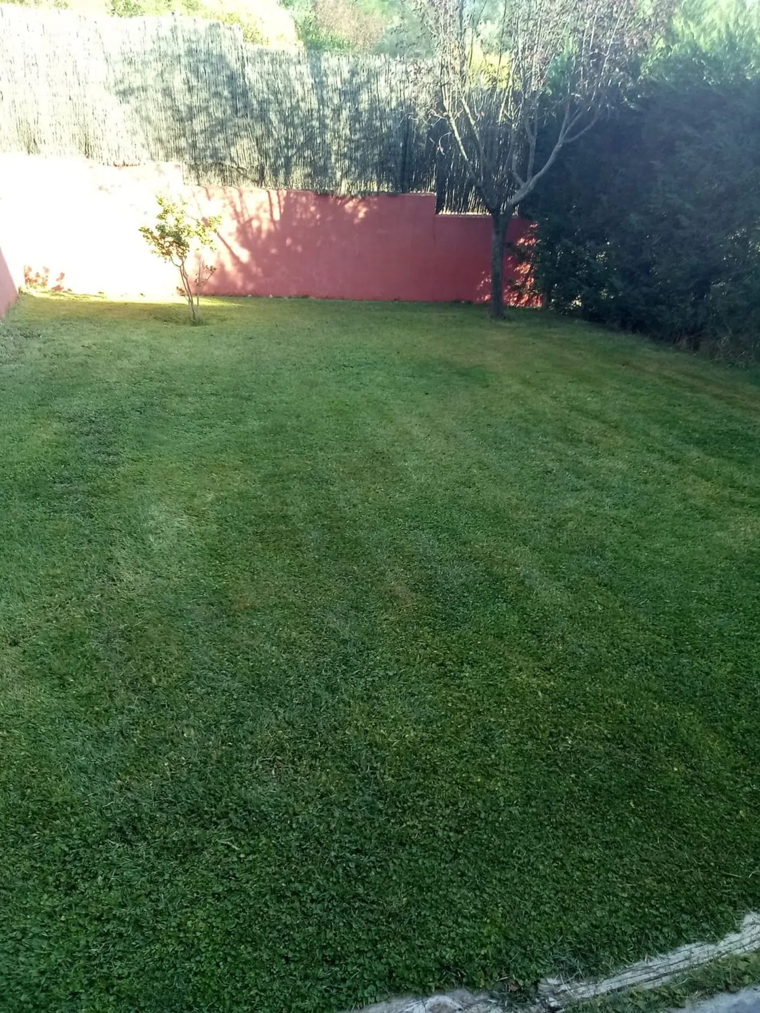 Chalet adosado en gerardo diego, 9 - Foto 16