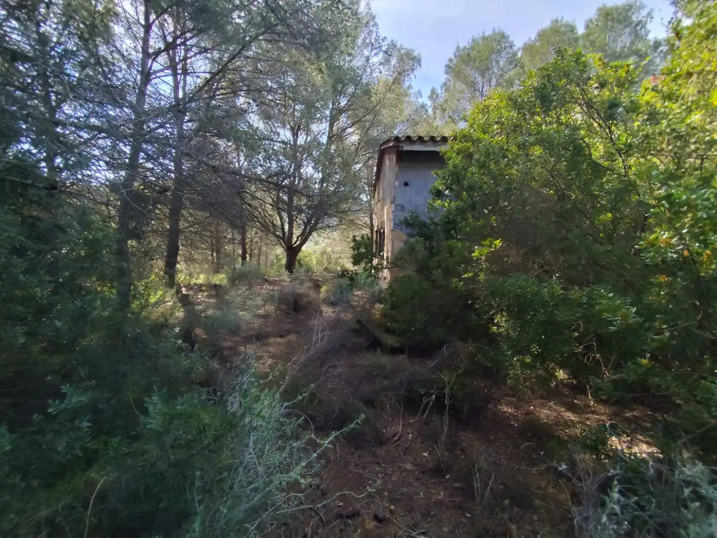 Finca rústica en  Avinguda Saragossa 2 - Foto 51