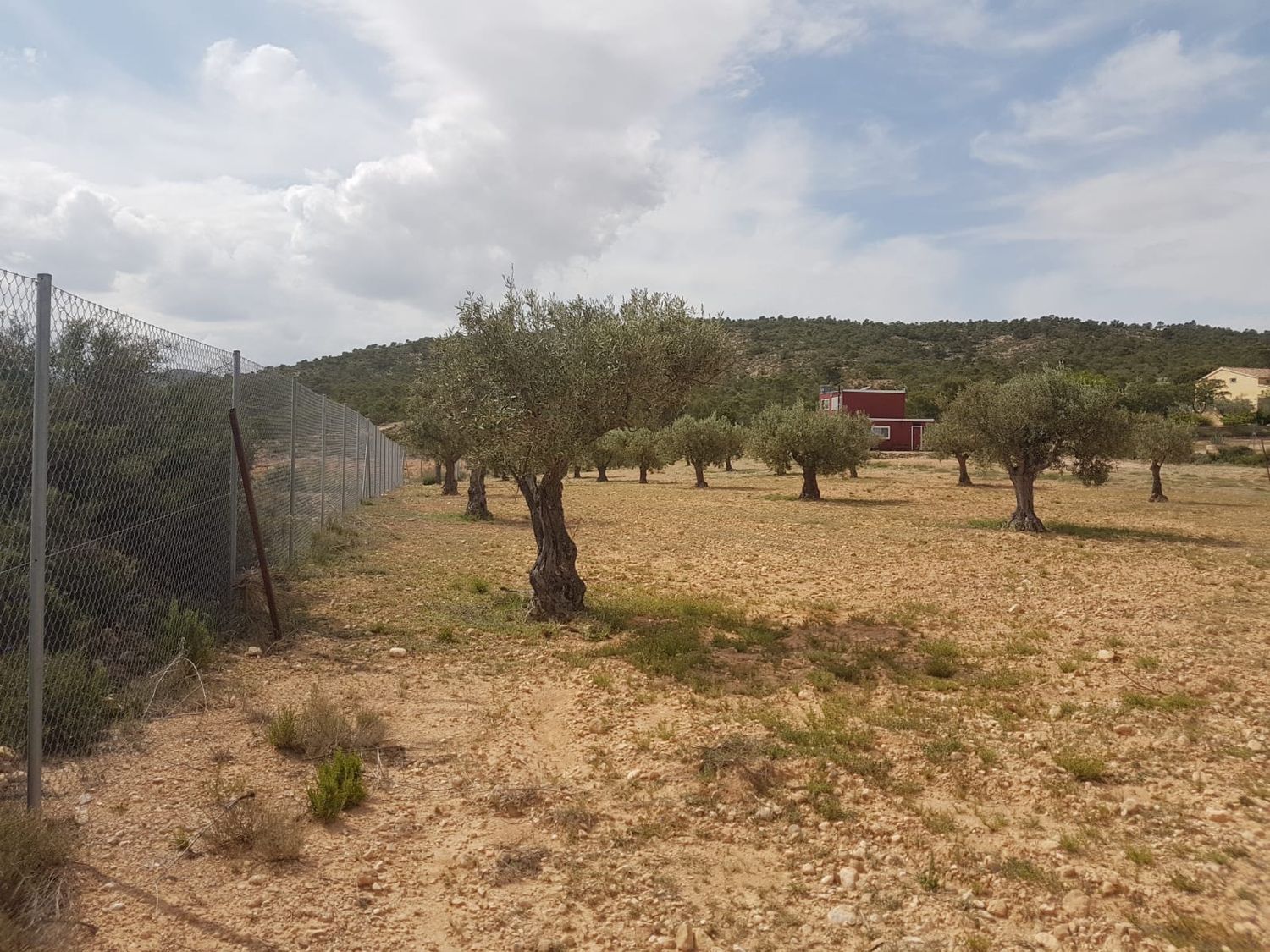Casa rural en A-33 s/n - Foto 14