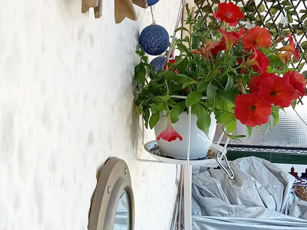 Piso en camino la cizaña, 20 - Foto 6