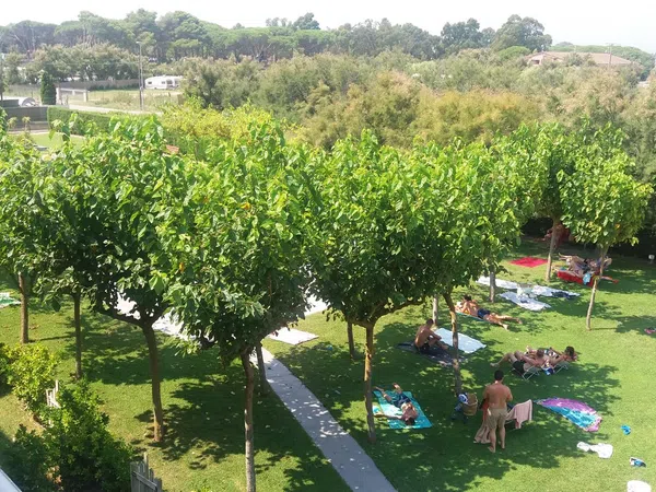 Dúplex en Calle Dàlia, 48 -50, Els Griells - Foto 19