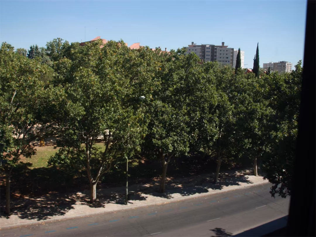 Piso en  Calle del Arquitecto Sánchez Arcas 3 - Foto 7