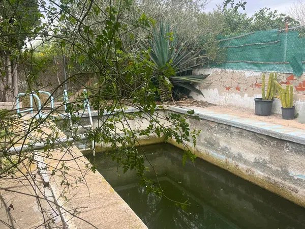 Casa independiente en Diseminado Mundo Nuevo, 19 a - Foto 6