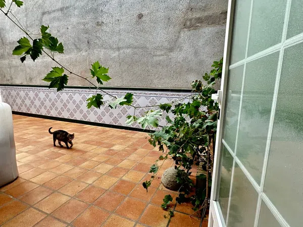 Casa o chalet independiente en Calle Álamos, 17 - Foto 24
