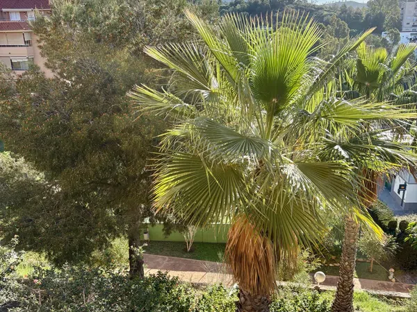 Piso en calle Bailaora Carmen Amaya, 2 - Foto 20