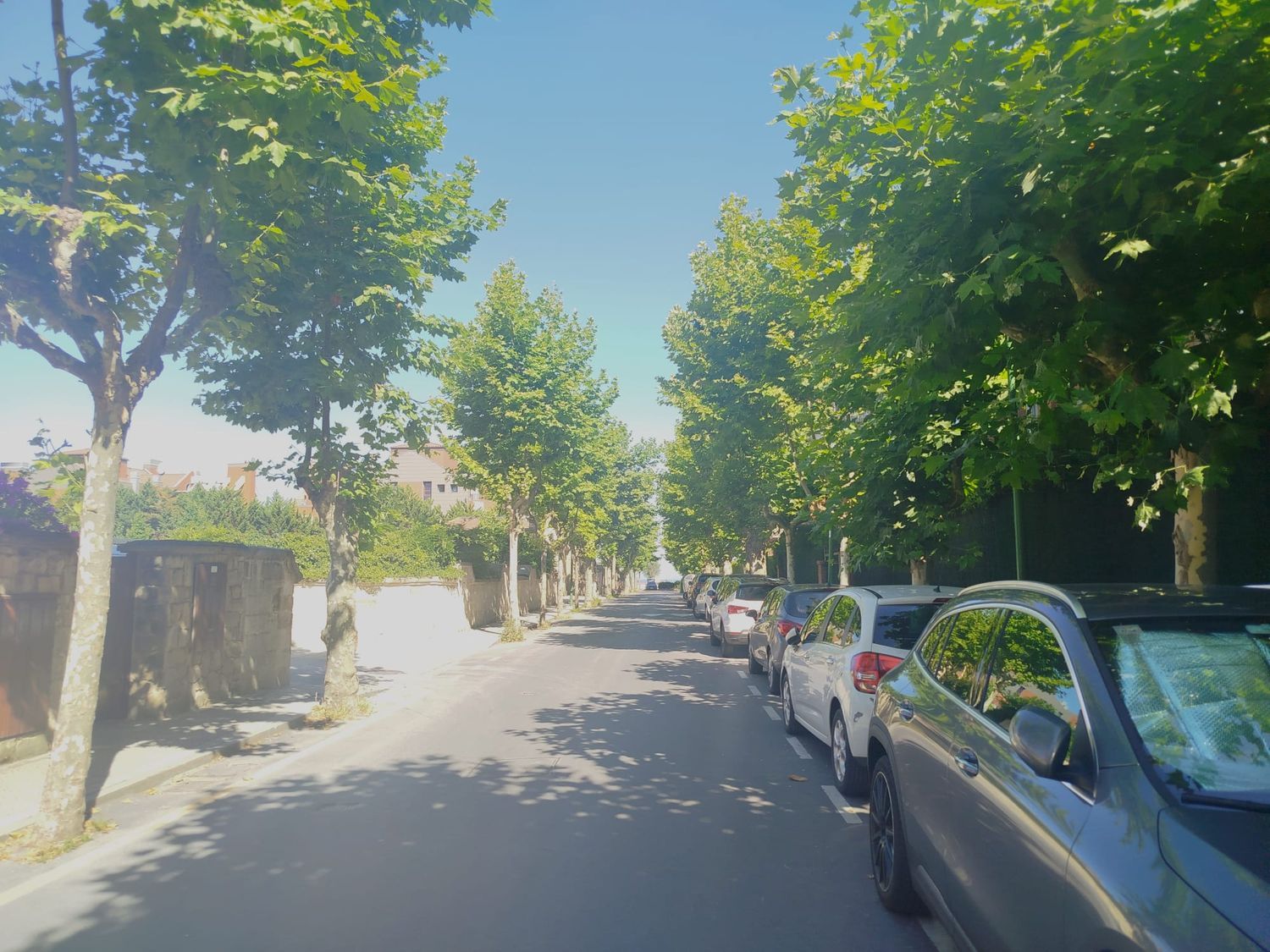Piso en Calle Atxekolandeta, 12, Neguri, Neguri - Foto 3