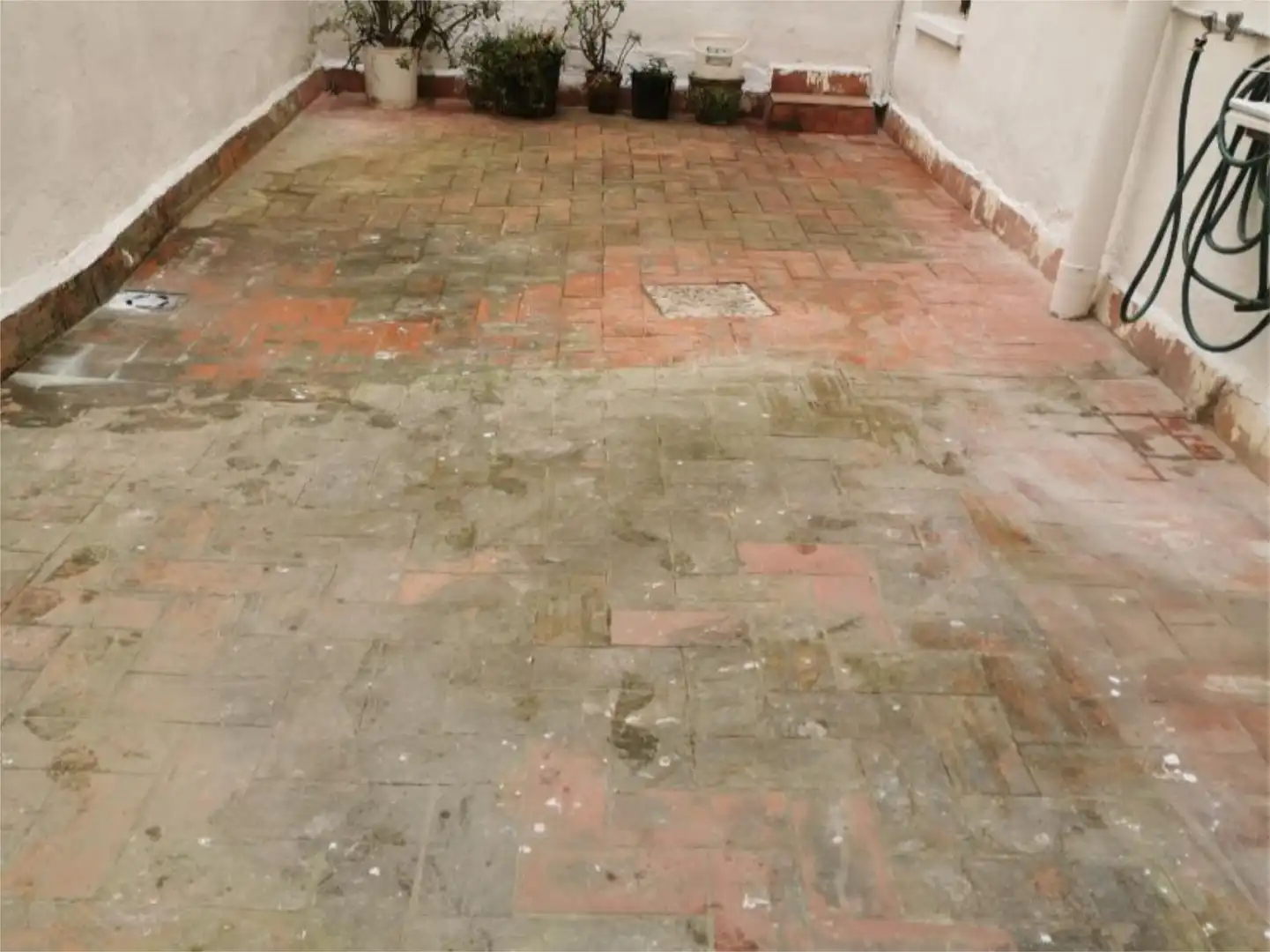 Local comercial en  Carrer de la Rosa d'Alexandria 49 - Foto 19