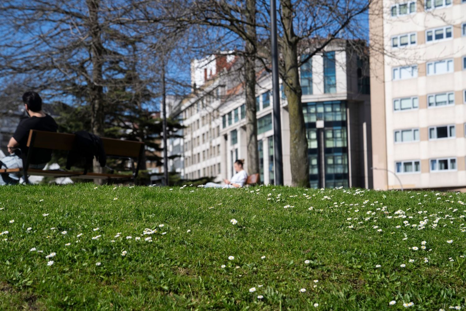 Piso en calle Manuel Piñeiro Pose, 10 - Foto 30
