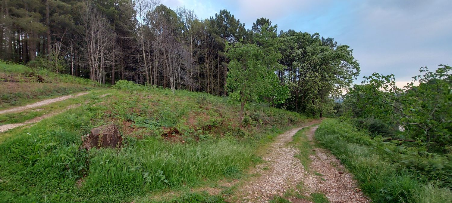 Casa o chalet independiente en Carretera Forestal de la Pregonera, 924 Av - Foto 3