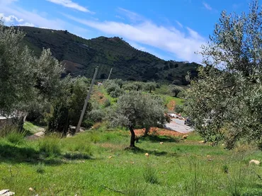 Finca rústica en  Diseminado el Cerval Pol 15 34B - Foto 15