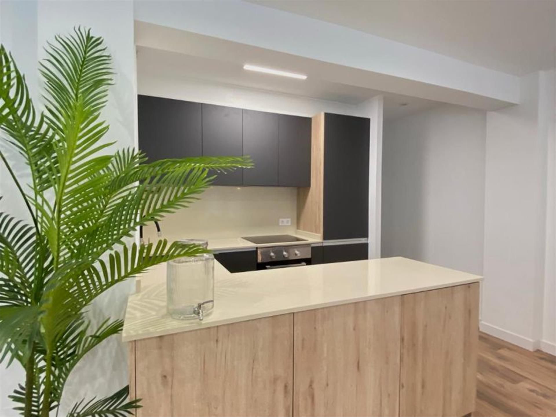 Piso en  Calle Leopoldo Pardo 13 - Foto 3