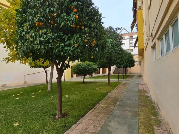Estudio en Calle San Juan de la Cruz, 11, San Cayetano - Foto 3