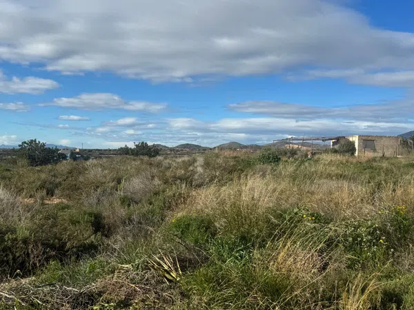 Finca rústica en Paraje Nogueras, 26 - Foto 25