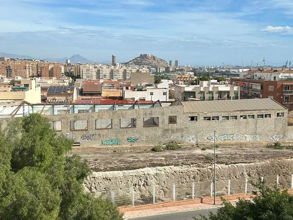 Piso en Calle Victoria Kent Siano, 24, El Palmeral-Urbanova-Tabarca - Foto 19