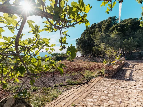 Cortijo en Pista Forestal Felix s/n - Foto 15
