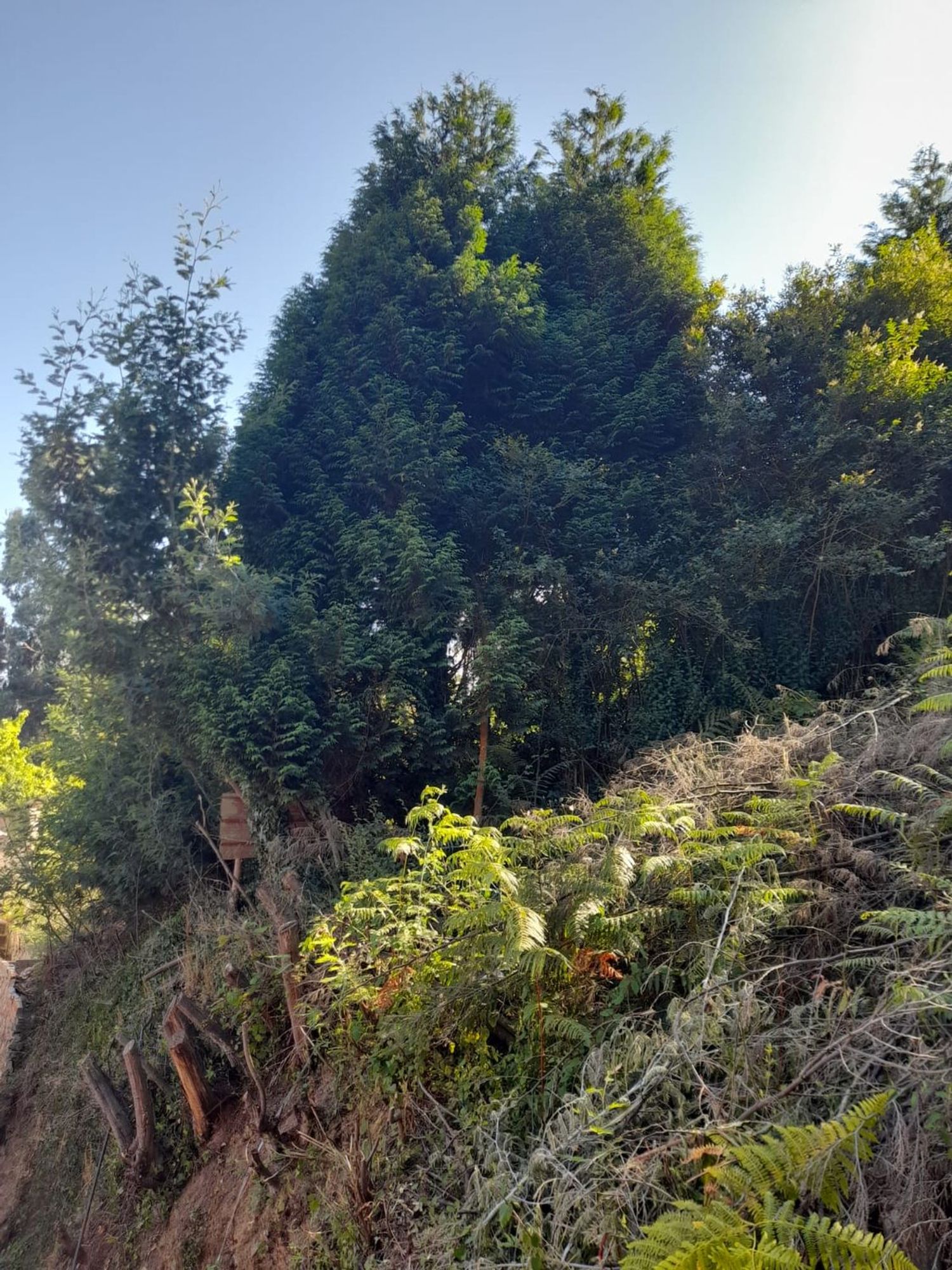 Casa de pueblo en Agones, 106 - Foto 30