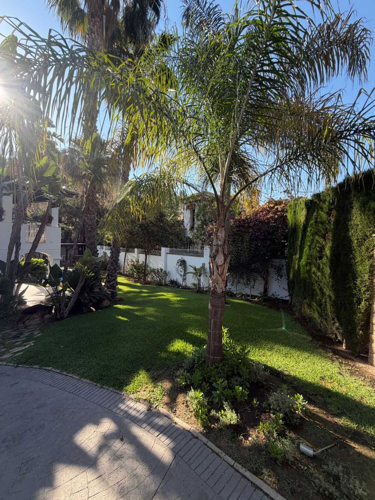 Casa o chalet independiente en Calle Leoni Benabú s/n, Pinares de San Antón - Foto 39