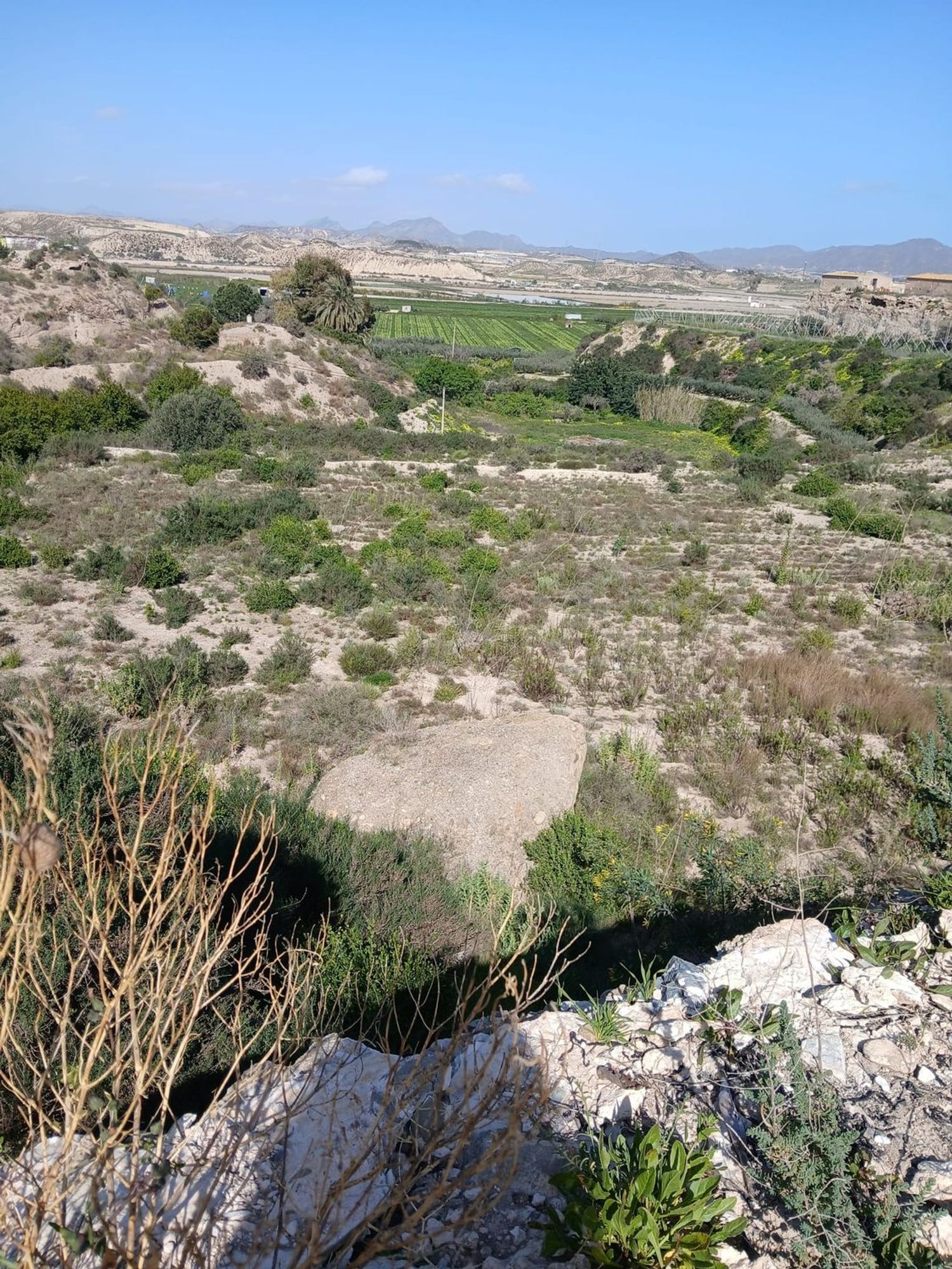 Cortijo en Barriada las Cunas s/n - Foto 9