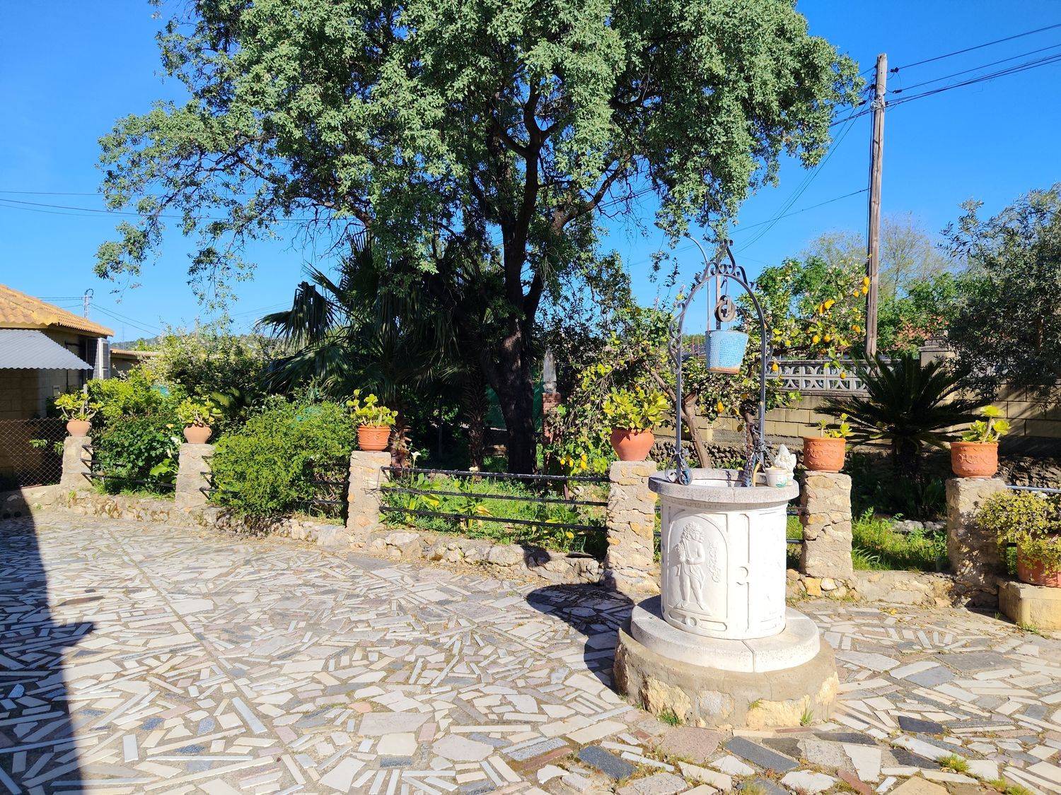 Finca rústica en Calle lentisco (Urbanización acebuchal), 2 - Foto 5