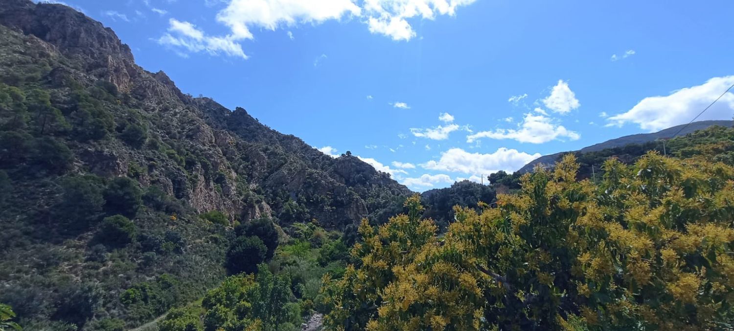Casa de pueblo en Real, 2 - Foto 2