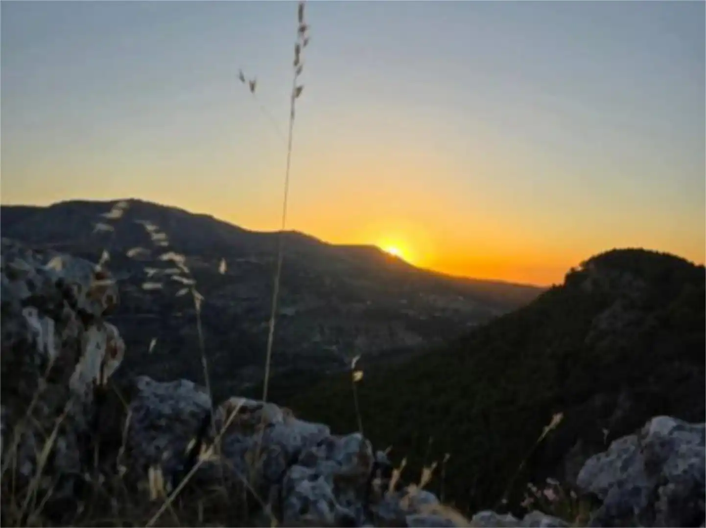 Finca rústica en  Calle García Lorca 34 - Foto 13