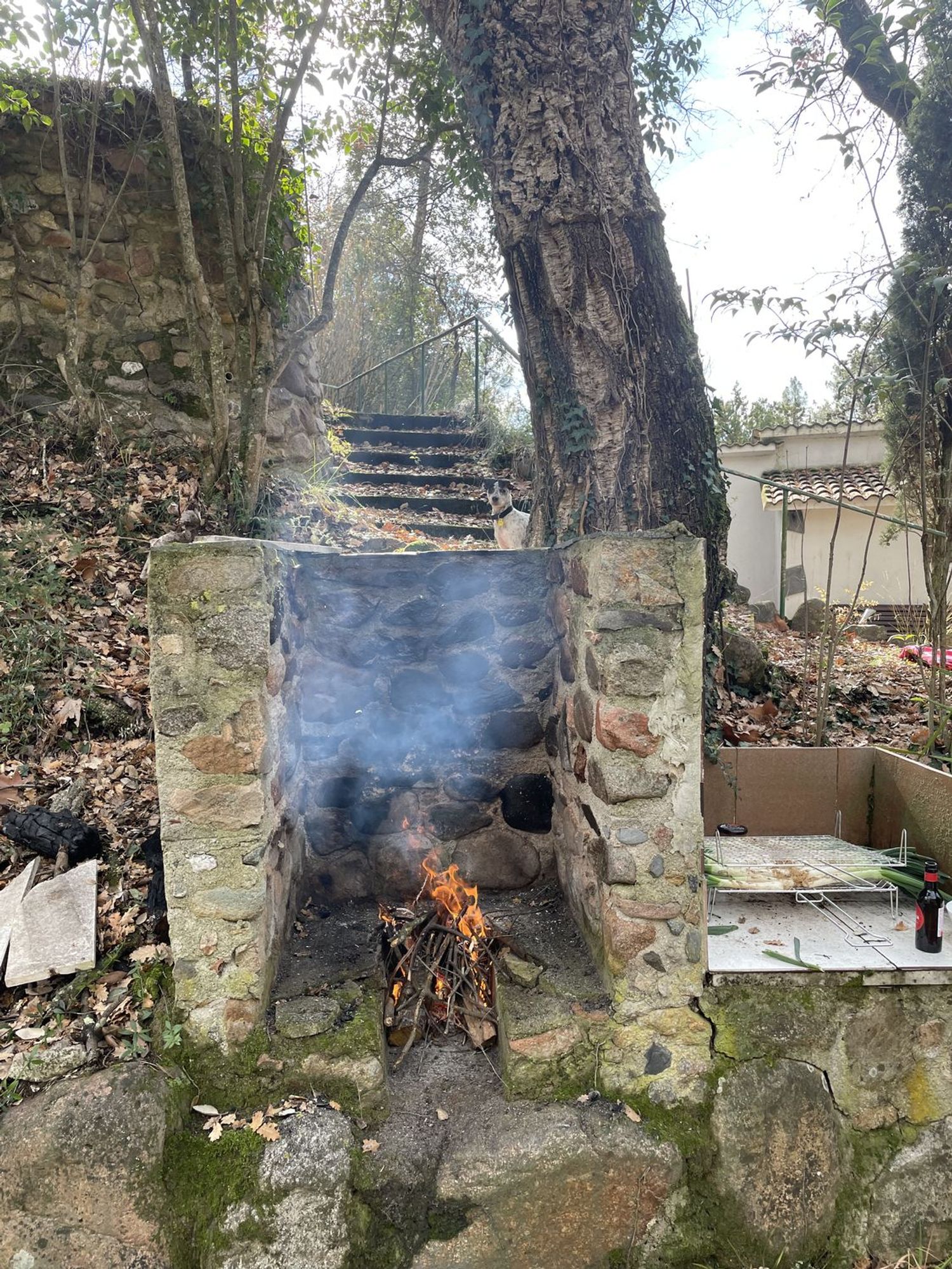 Casa terrera en Veral de Cal Negre, 19 - Foto 8
