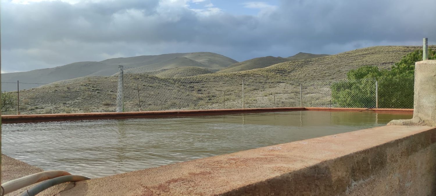 Cortijo en Cortijo en A-1178 s/n - Foto 28