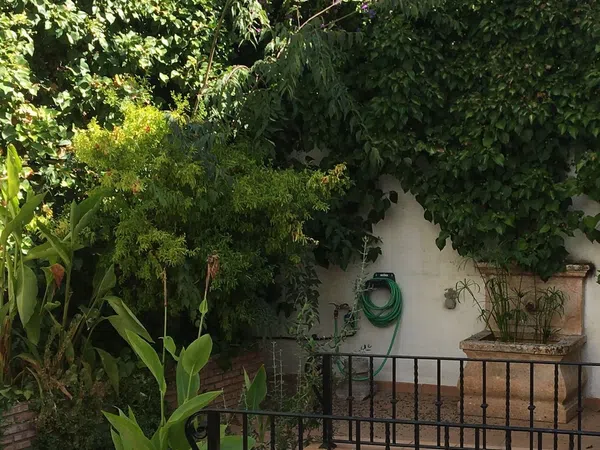 Piso en calle Aljibe de Trillo, 7 - Foto 13