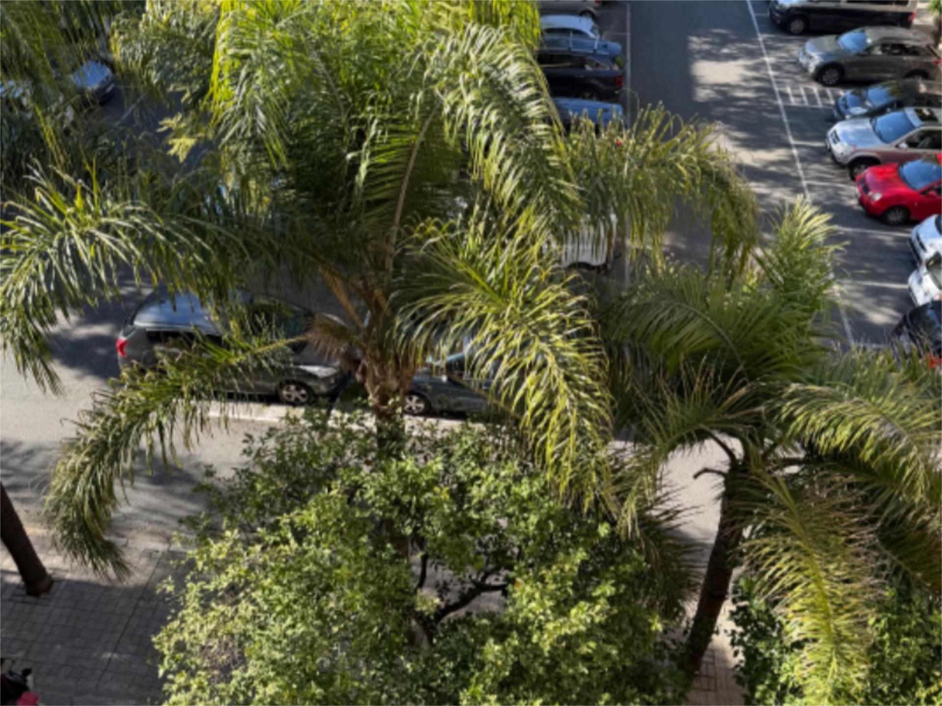 Piso en calle Bami 2 - Foto 6