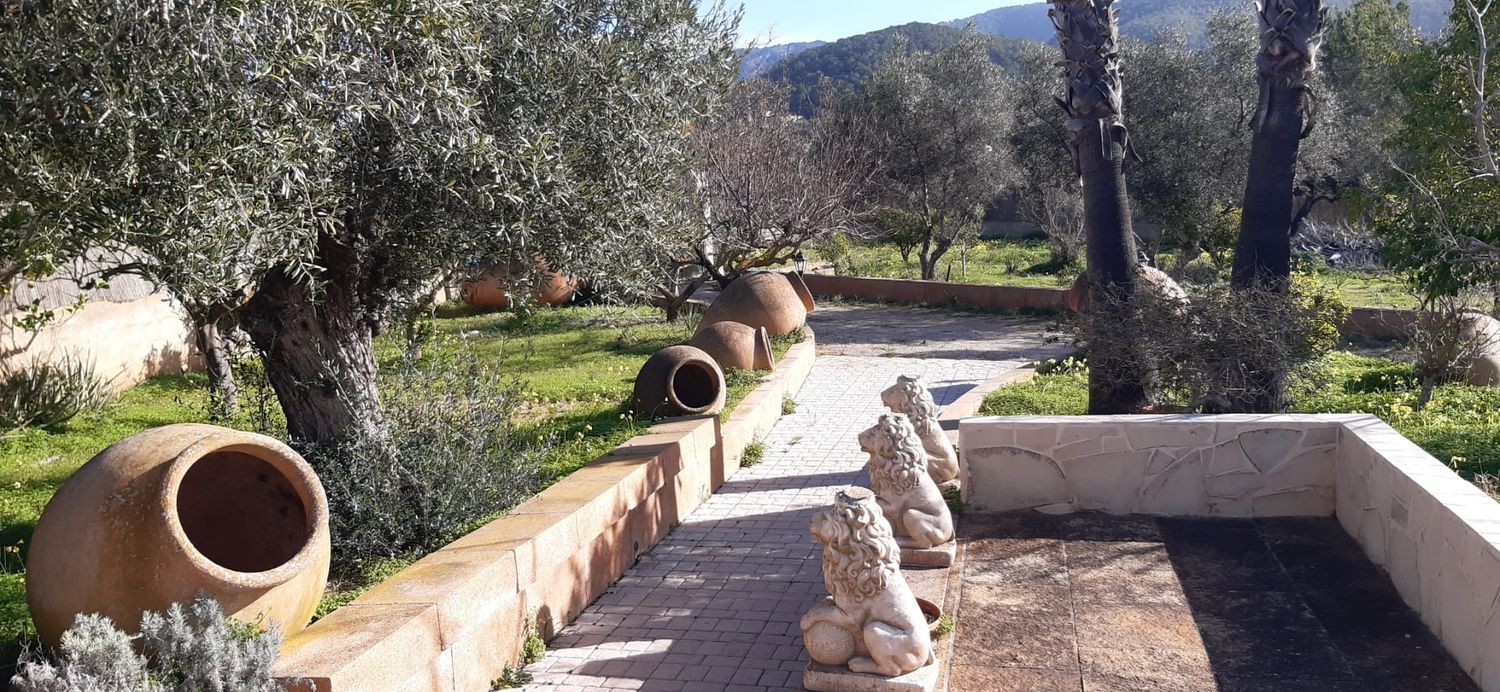 Casa o chalet independiente en Port d'Andratx, Port d'Andratx - Foto 18