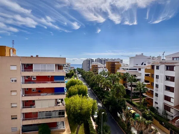 Piso en Calle Rocio, 1, Punta Prima, Punta Prima - Foto 23