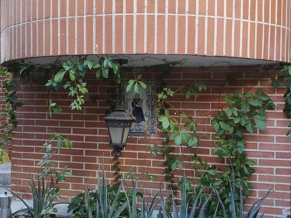Chalet adosado en Calle Cerámica, 2 n, Zona Estación - Foto 7