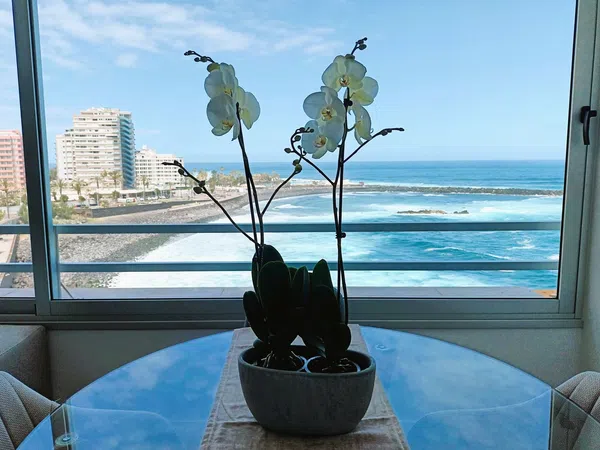 Ático en avenida de Cristobal Colón, 28 - Foto 2