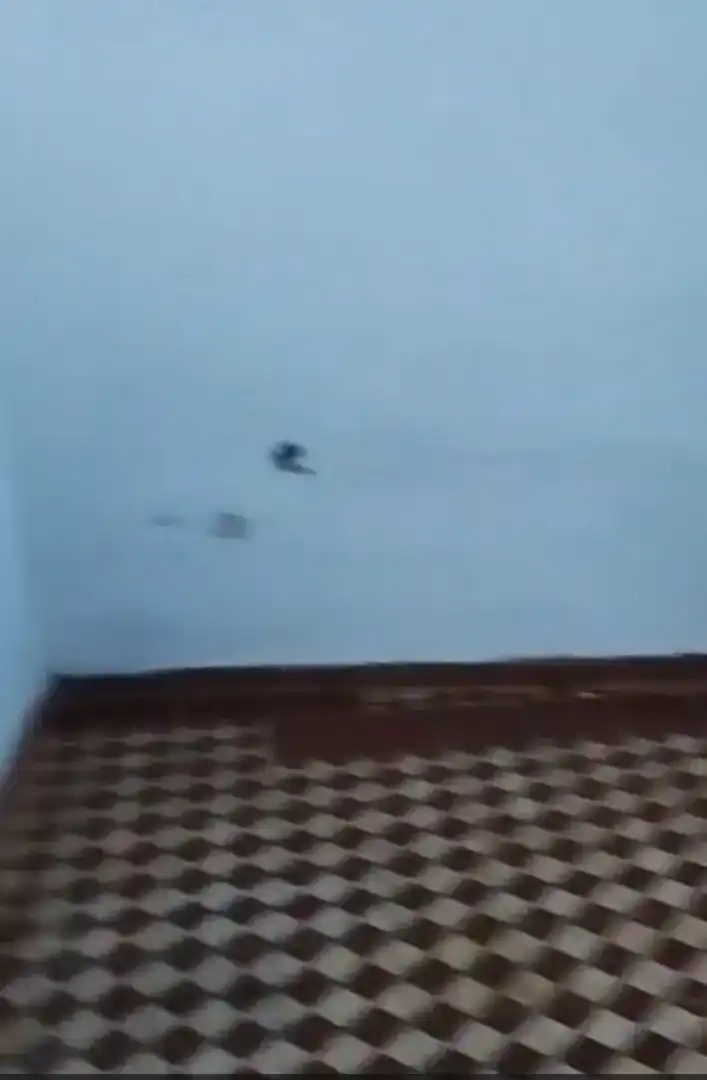 Piso en  Aldea las Delgadas 63 - Foto 8