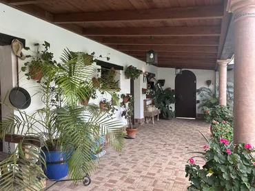 Chalet en  Calle Millón 11 - Foto 11