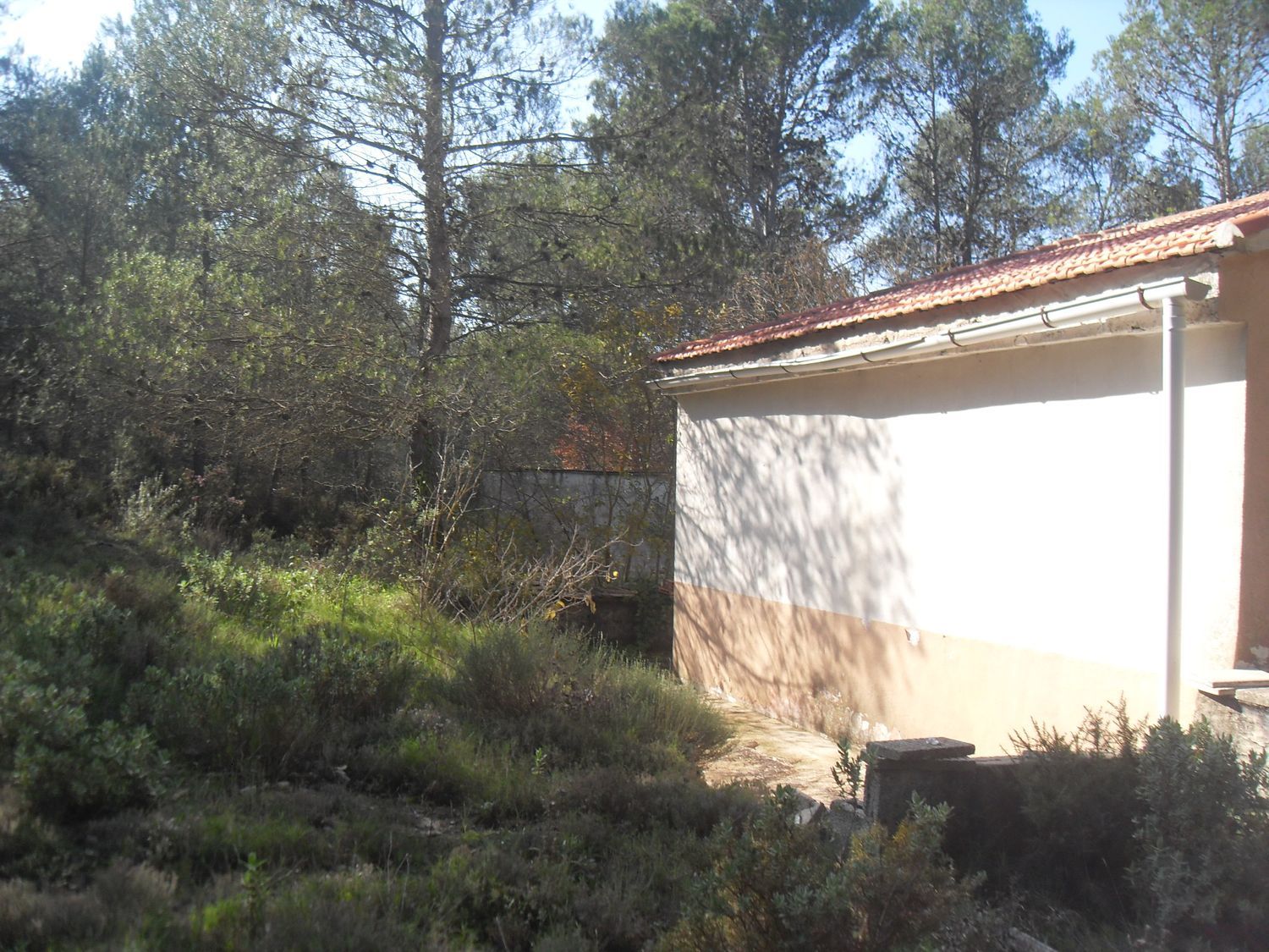Finca rústica en Cv-712, 7 - Foto 5
