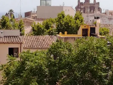 Ático en  Carrer de la Gerreria 15 - Foto 18