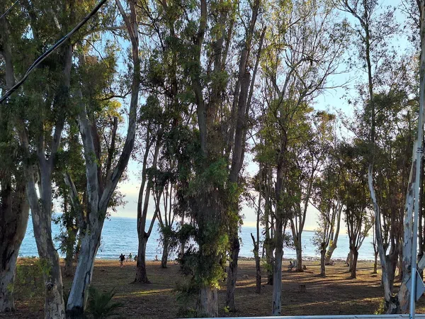 Piso en calle Bolivia, 57 - Foto 1