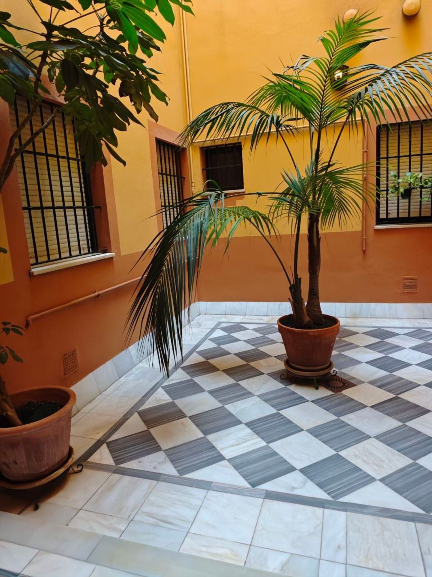 Piso en Doctor Jesús Vida, 7, Arenal - Museo - Tetuán - Foto 6