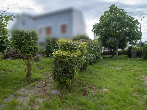 Casa o chalet independiente en Plaza Mesón, 3 - Foto 5