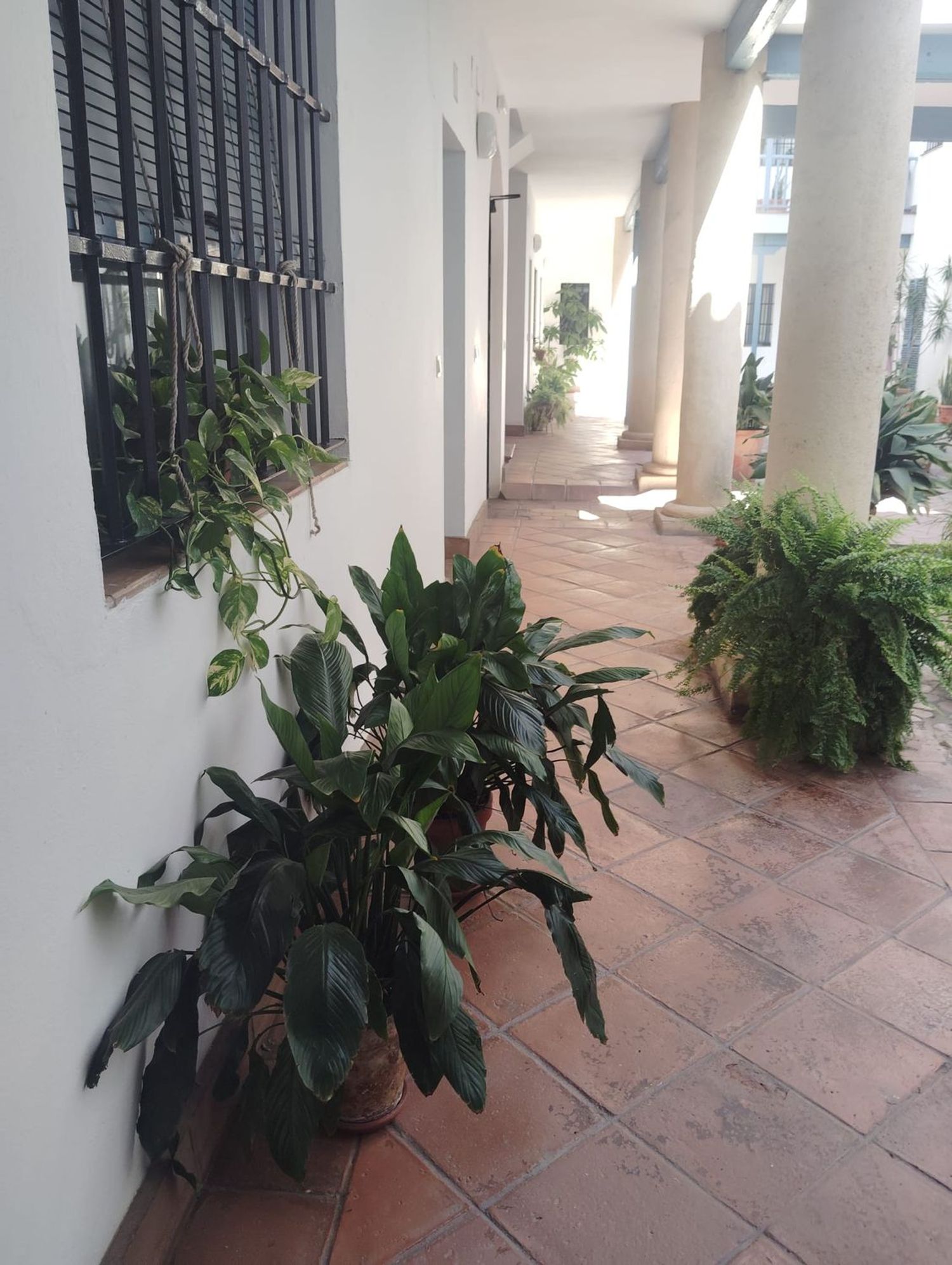 Piso en Calle Imperial, 43 - Foto 3